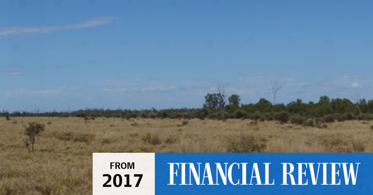 Peabody Energyowned cattle stations tipped to fetch 60m